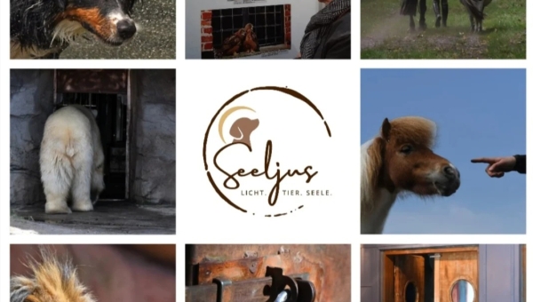 Was kann die Bildbesprechung? 